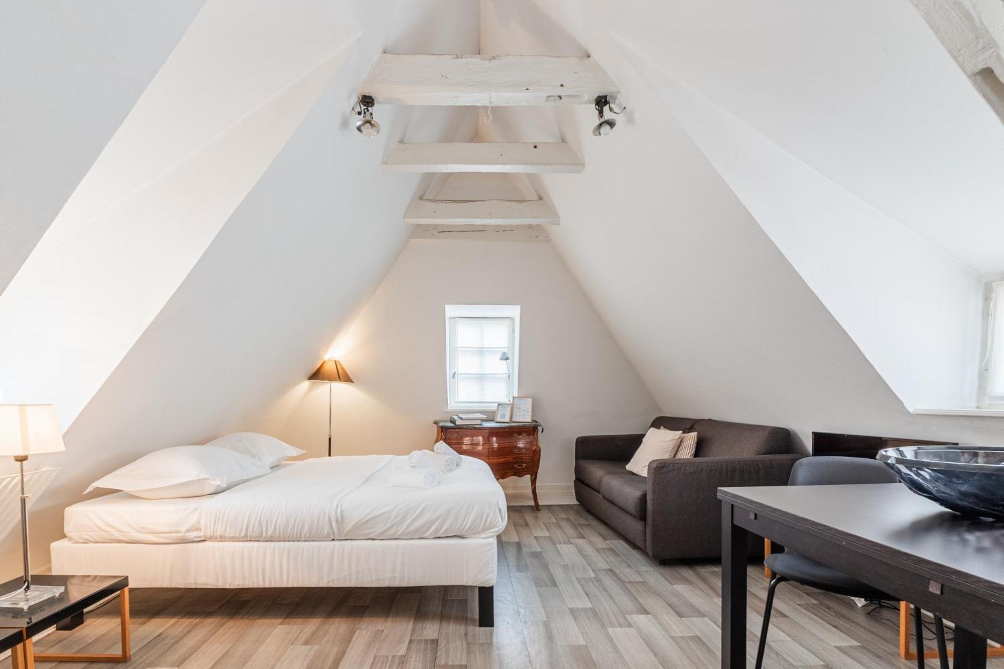Le Cosy Stras - Studio Climatise Страсбург Экстерьер фото